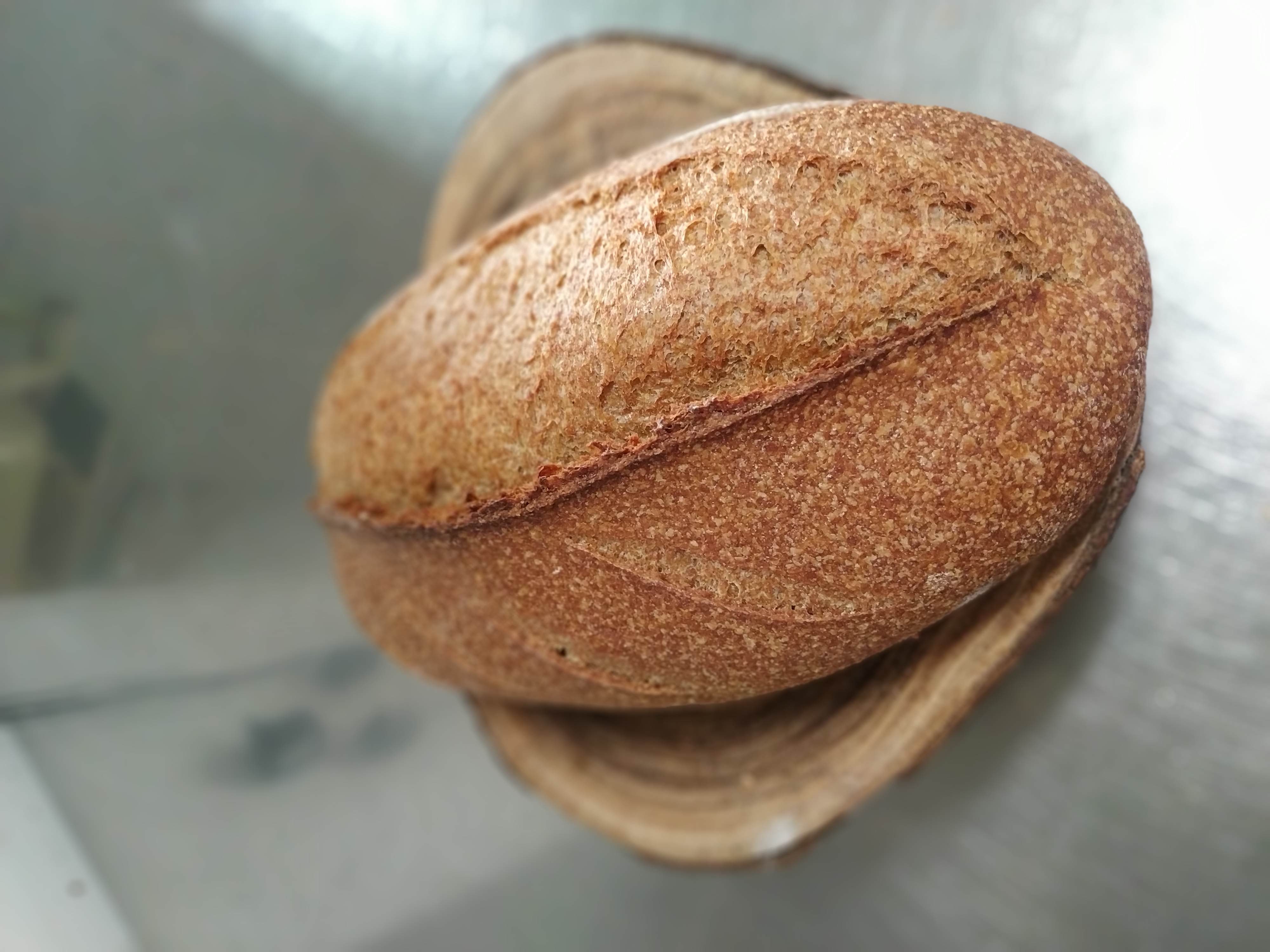 Pan trigo integral 100% eco